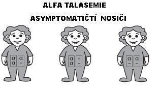 defektní syntéza řetězců porucha na 1-4 genech na obou 16. chromozomech - zvýšená tvorba tetramerů ALFA TALASÉMIE (1) Formy: heterozygotní tj.