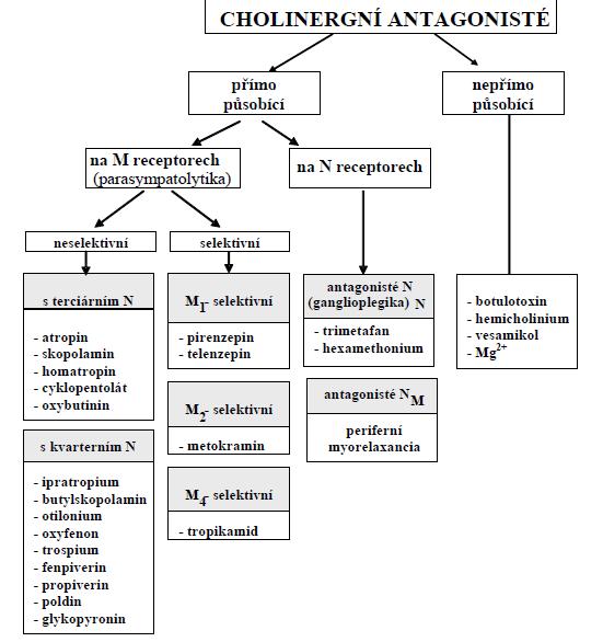 depolarizující - sukcinylcholin nedepolarizující - kurareformní