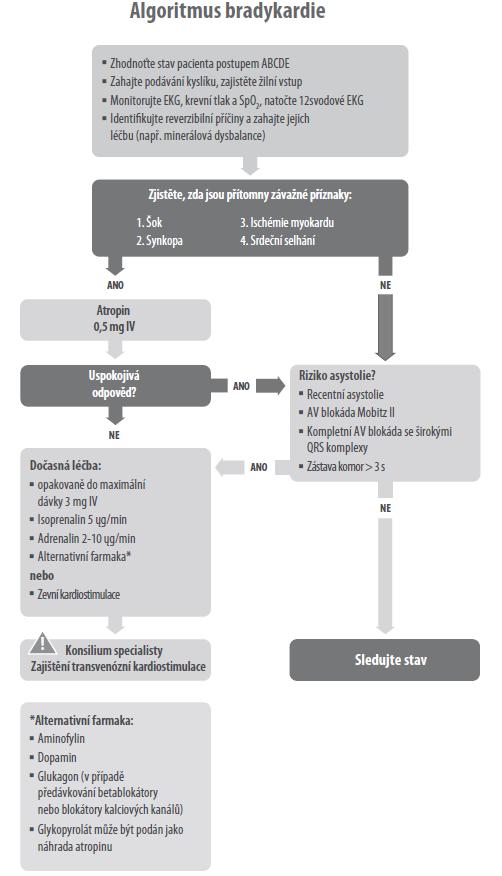 Algoritmus bradykardie s hmatným pulzem atropin 0,5mg i.v.