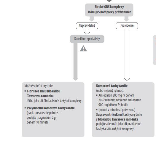 Algoritmus tachykardie pulz hmatný I. široké QRS komplexy (>0,12s) široké pravidelné pravidelné KT amiodaron 300 mg i.v. během 20-60min + LD 900mg/24h, SVT (supraventrik.