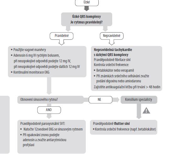 Algoritmus tachykardie pulz hmatný II. úzké QRS < 0,12s vagové manévry, adenosin 6-12mg i.v. rychlý bolus ev dalších 12mg i.v., kontin. EKG, pokud se neobnoví pravid.