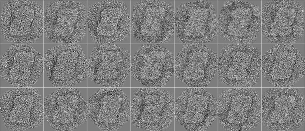 4. low dose TEM ukázka obrazové analýzy projekcí fotosystému II Snímky izolovaných komplexů fotosystému II nízký S/N, náhodná orientace