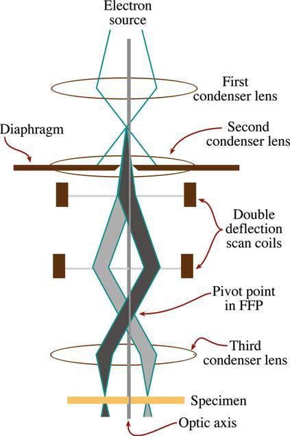 6. Skenovací transmisní elektronová mikroskopie (STEM) TEM doplněný o skenovací cívky a STEM detektory elektronový svazek skenuje vzorek pomocí vychylovacích cívek