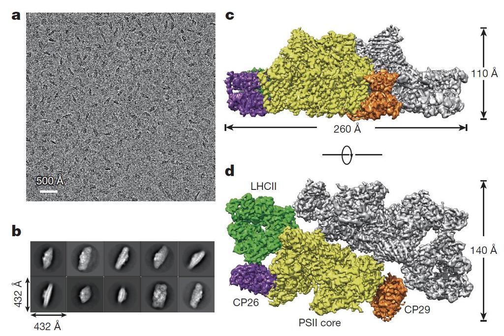 7. kryogenní TEM ukázka metody ve studiu 3D struktury proteinového