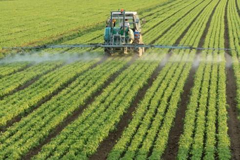 Pesticidy jsou přípravky a prostředky, které jsou určené k tlumení a hubení rostlinných a