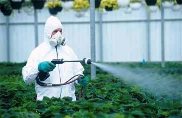 výrobních závodů nebo i zvířat a člověka. Nejvíce se pesticidy uplatňují v zemědělství.