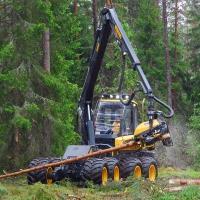 Lesnictví a zpracování dřeva na 100 kg vytěženého užitkového dřeva zůstává 78 kg