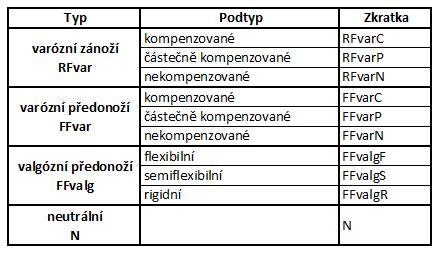 K rozvoji nového modelu funkční typologie nohy, zdůrazňující nohu jako dynamický komplex, přispěl v 50. a 60. letech minulého století Merton L. Root.