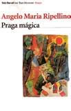 údaje Barcelona : Minúscula, 2002 Descripción física Popis (rozsah) 282 p. ; 17 cm Serie Edice Paisajes narrados ; 5 isbn 84-95587-08-4 Tít.