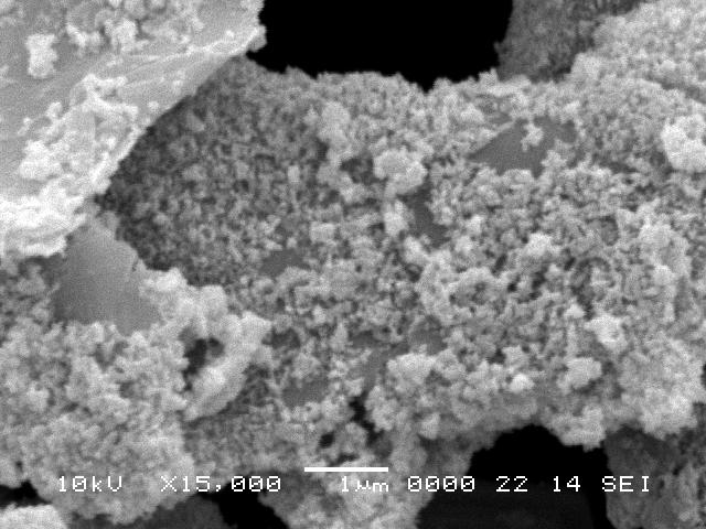 Figure 1 shows the scanning electrone micrographs (SEM) of the sections of surface-treated Fe-muscovite. Tables 1-2 give physicochemical properties of pigments tested.