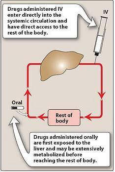 Faktory ovlivňující biologickou dostupnost First-pass efekt efekt prvního průchodu játry látka je částečně metabolizována v játrech před vstupem do