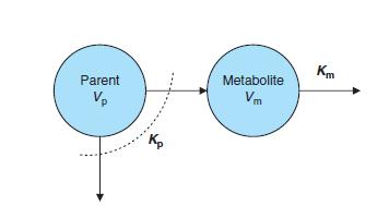 Kinetika metabolitu - Hladina zpočátku roste, pak klesá Případ rychlé eliminace