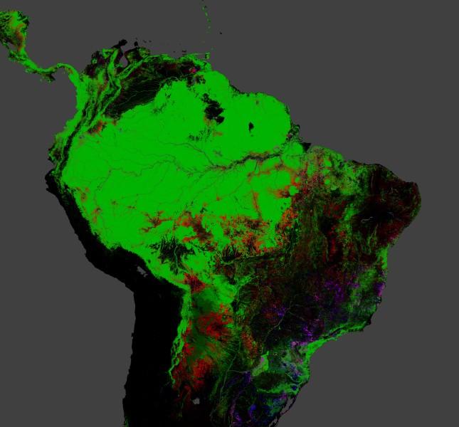 Obr. 3 ilustrace vykácených tropických lesů Jižní Ameriky od roku 2000 do roku 2013 (zeleně je znázorněna plocha lesa, červeně oblasti se ztrátou lesa, modře nárůst lesa a fialově úbytek i nárůst