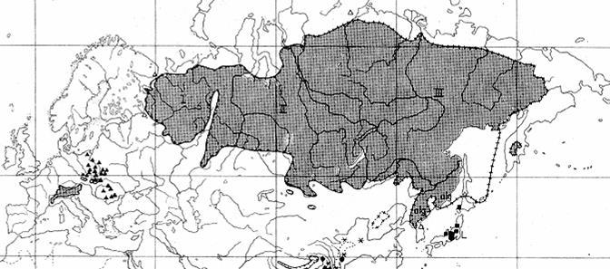 Areály vůdčích glaciálních stromů klimatická