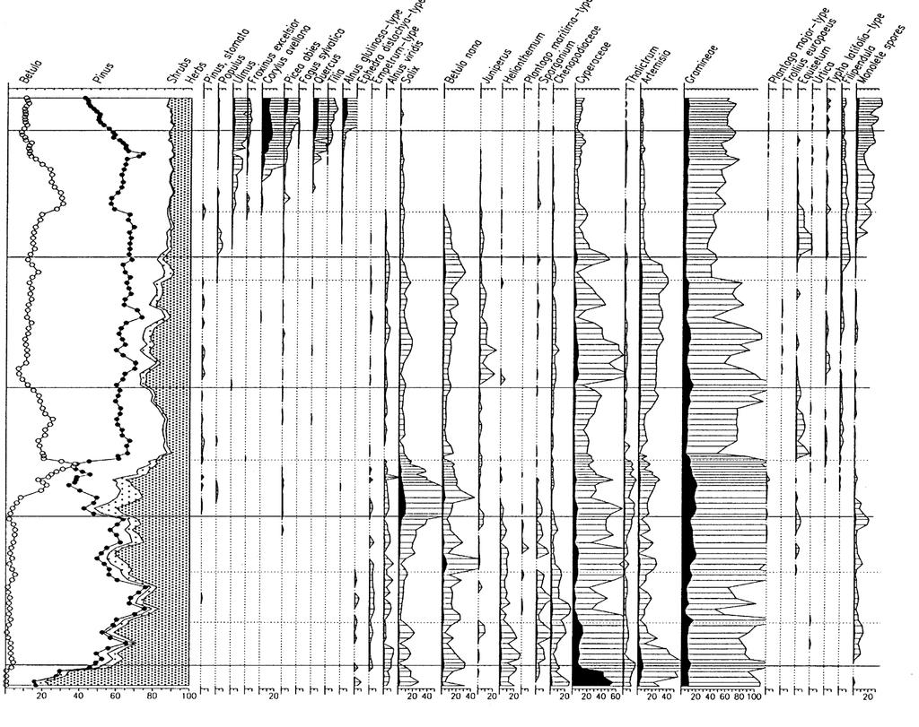 Pylová analýza profilu Švarcenberk Začátek holocénu 11 600 cal yr BP Stepní druhy 14 700 cal yr BP Chladné klimatické