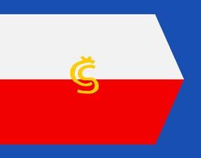 zastave Rusije, Slovenije i Slovačke koje su istih boja, bijelo-plavo-crvene).