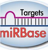 On the other hand, transcriptional regulation requires: 1 DNA remodeling; 2 attachment or detachment of the