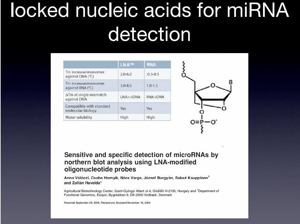 microarrays c. qpcr d. bead-based based methods funkční analýzy a. Northern blot Časově náročná metoda pro malý počet vzorků a mirna b.