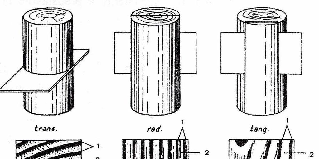 vlastností dřeva vyplývá, že jsou značně odlišné, nejvíce podélném a kolmo na vlákna. Mimo toho se v radiálním a tangenciálním směru také rozlišují.