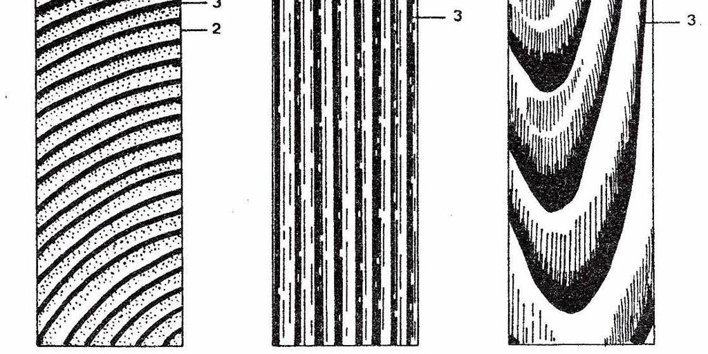 mechanických vlastností dřeva podélně a kolmo na vlákna (Požgaj, 1997 dle Kolman, 1959).