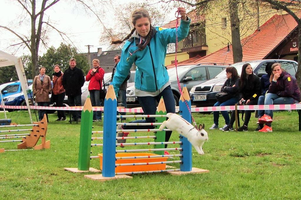 Střední škola zemědělská a veterinární Lanškroun Chovatelský kroužek Ve školním roce 2016/2017 se chovatelského kroužku aktivně účastnilo devět studentek naší školy.