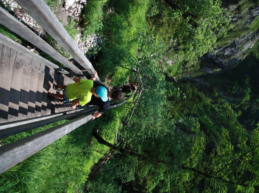 Výroční zpráva za školní rok 2016/2017 Učitelé zase po roce spolu při turistice Zase po roce 24. 6. 2017 náš učitelský sbor zavítal na túru tentokrát do rakouských Alp.