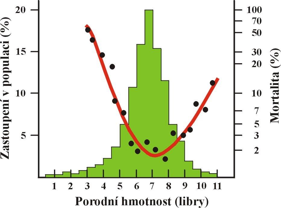 stabilizující selekce - porodní hmotnost