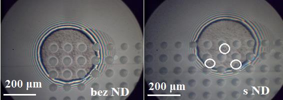 DISKUZE Povrch s mikrovtisky se zkoumal při nižších rychlostech (do 50 mm/s) a největší vliv se ukázal při rychlosti 10 mm/s.