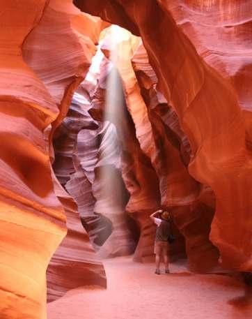 Hlavní dominantou tohoto překrásného národního parku je 24 kilometrů dlouhý kaňon Zion Canyon. Rudooranžově zbarvené pískovcové skály jsou místy až 800 m vysoké. Kaňonem protéká řeka Virgin River.