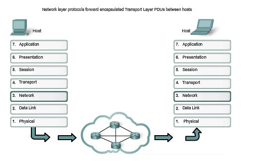 Síťová vrstva (Network Layer) Třetí