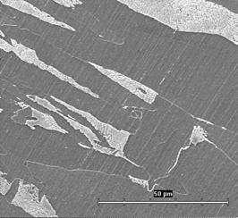 Feriticko-perlitická struktura, deformovaný stav Fig. 3. Ferite-pearlite structure after deformation pak 0,5).