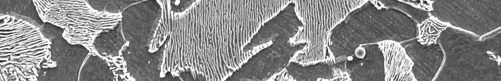 Tensile specimens with gauge length of lo= 20 mm were tested at a constant cross-head speed of 0.016 mm/s until failure.