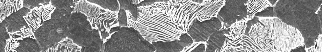 1 Microstructure of steel AISI 1010 The substructure subjected to of warm samples ECAP at temperature of 250 C and 300 C investigated by TEM showed the