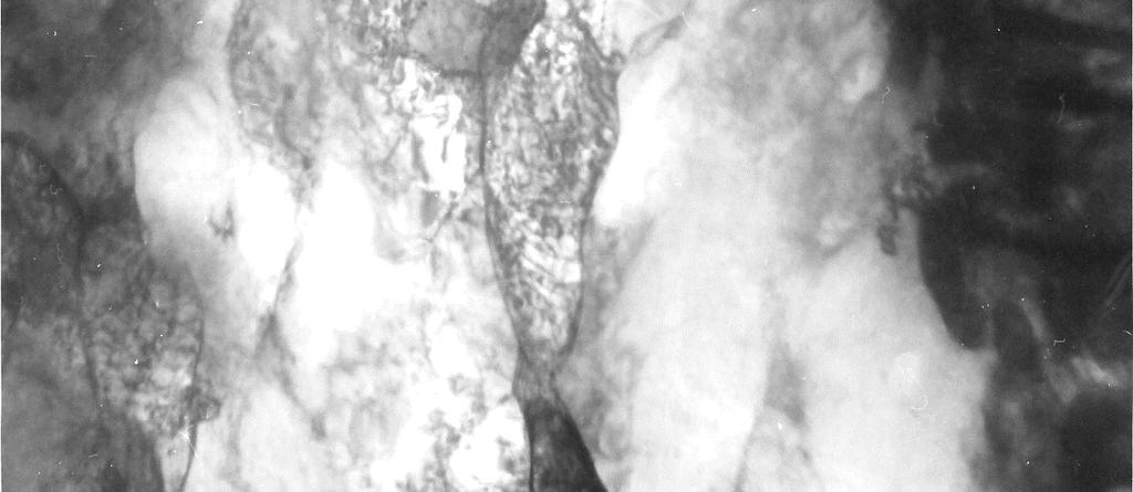 Nové jemné zrna v deformovaném feritu po aplikaci ECAP, N-6. Fig. 7. New ultrafine grains in former ferrite after ECAP, N-6.