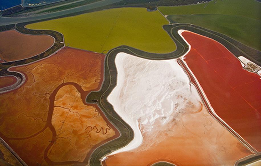 The largest ponds are about 250 ha in area.