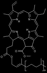 Experimenty na hlodavcích LD50 455mg /kg těles. hmotnosti/den.