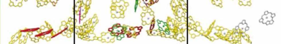 části také velký počet anténních molekul (25)