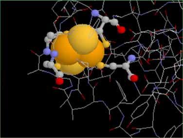 Ferredoxin (Flavodoxin) Antony Crofts 1996 Plant like 2Fe.