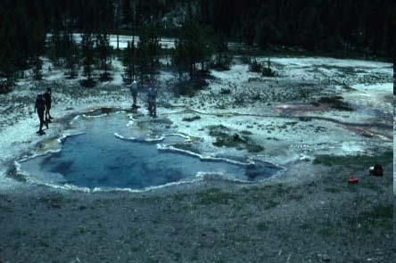 Archaea kde žijí jsou to jediné