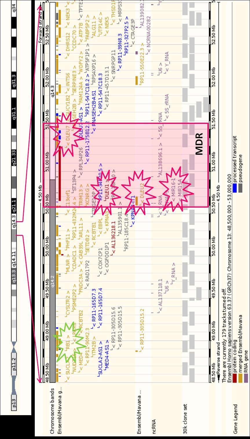 Obrázek 1.1 Schéma MDR u delece 13q14 zpracováno dle (Ouillette et al. 2008, Parker et al.