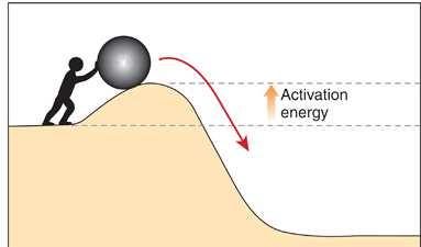 odbočka: Termodynamika x kinetika reakcí Termodynamická uskutečnitelnost nevypovídá o skutečném běhu a kinetice!