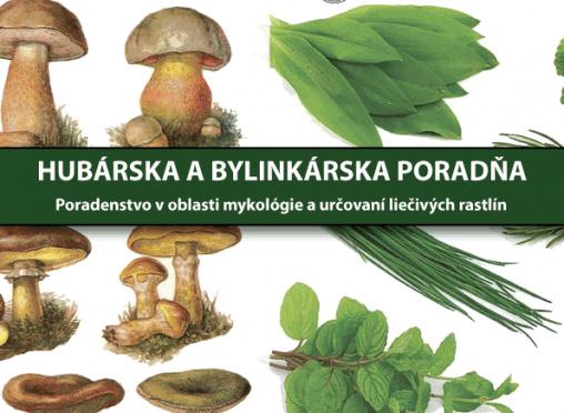 Liptovský Hrádok, mesto bohaté na históriu, mesto múdre vďaka ľuďom, ktorí v ňom žijú... Úspešná futbalová sezóna Pre liptovsko-hrádockých futbalistov sa 18.