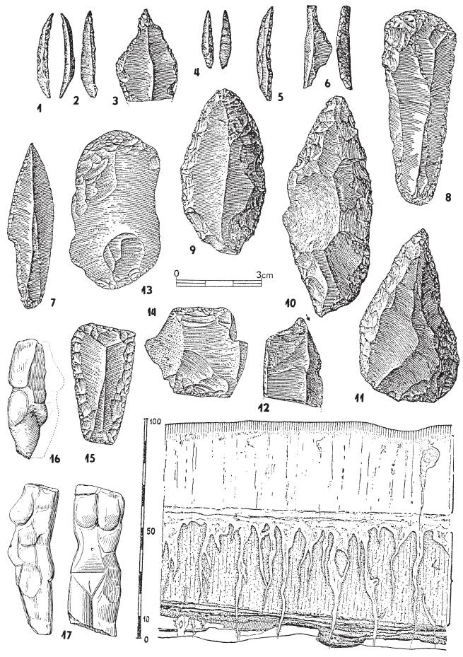 Gravettien na Moravě Obr.110 Petřkovice I, 1 15 výběr nástrojů (7 R, jinak asi S), 16 17 ženské plastiky z krevele, dole profil sedimenty (vše podle B.Klímy).