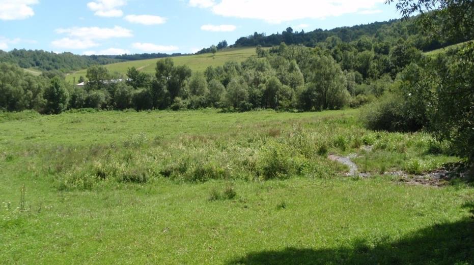 dodržovat i další opatření, jako jsou sekání nedopasků, přesouvání napáječek, oplocovaní vlhkých míst, pasení po oschnutí rosy a střídání věkových kategorií koní na pastvinách, která snižuji šíření