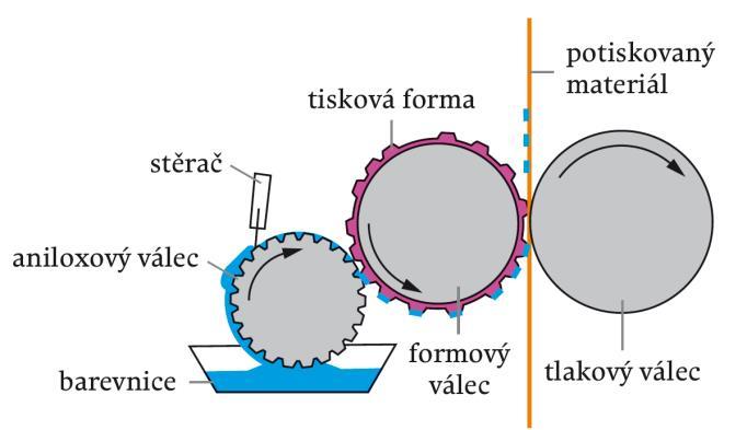 Obr. 18: Schéma flexotiskového procesu 32. Flexotiskové formy lze klasifikovat podle materiálu, který byl použit k jejich výrobě, podle jejich tvaru nebo podle způsobu přenosu obrazu.