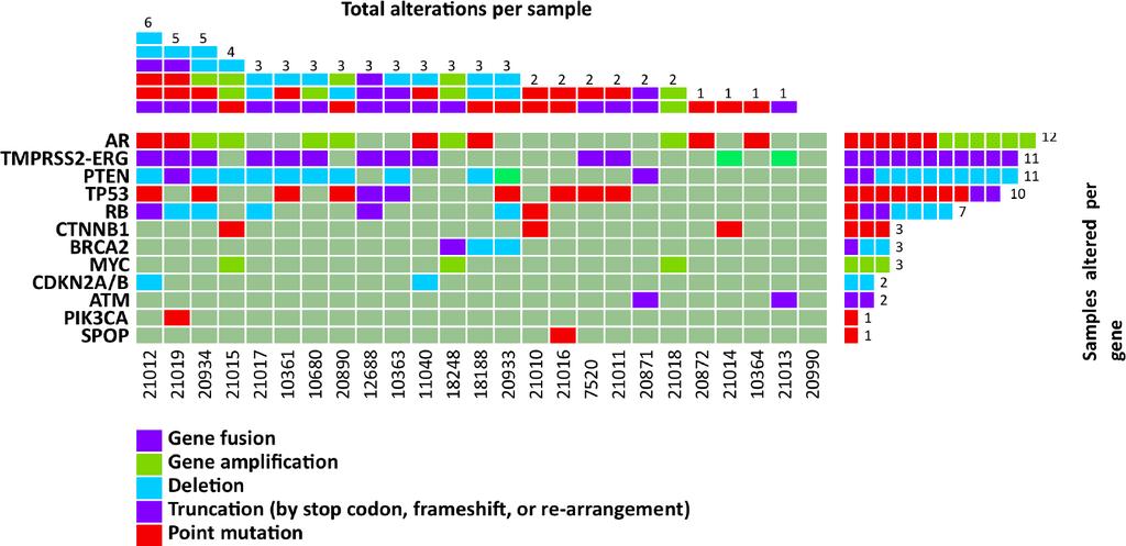 Human cancers are heterogeneous DNA-sequencing of