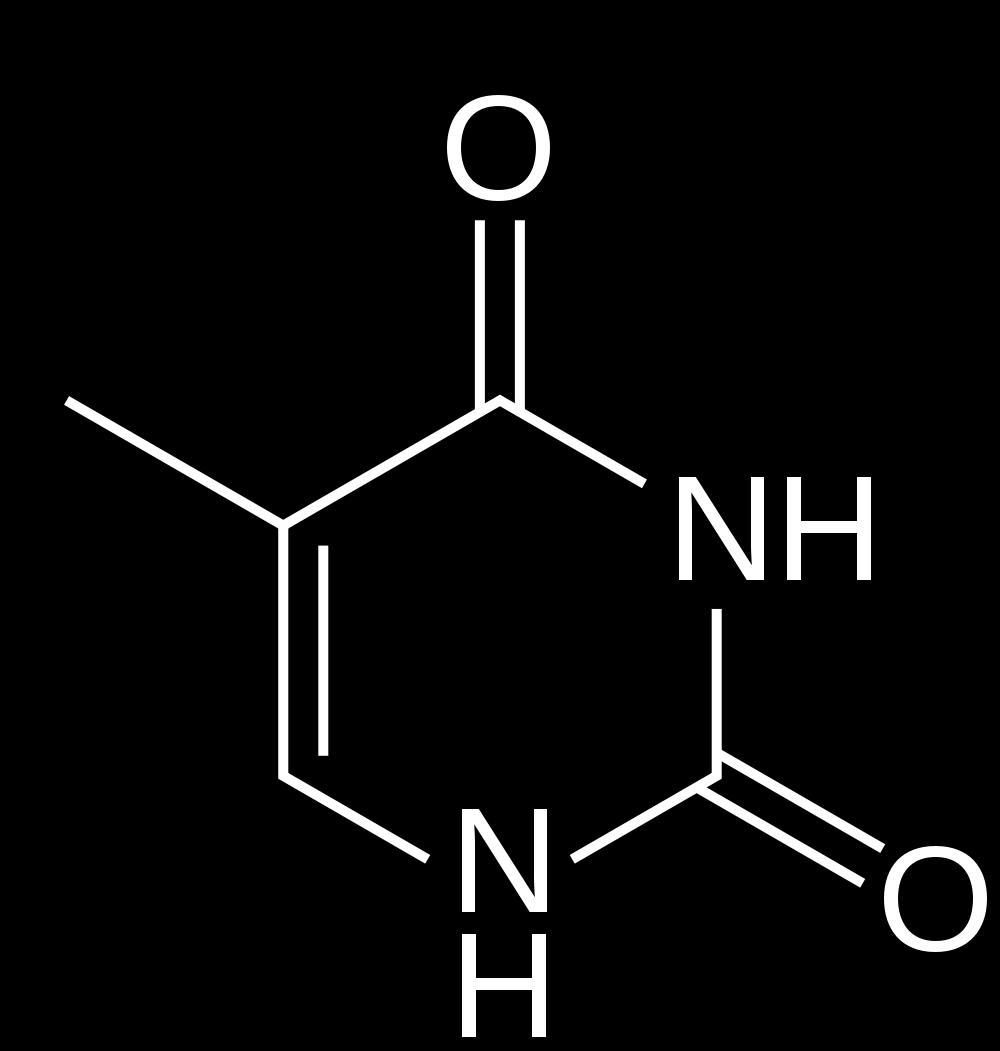 DNA a RNA