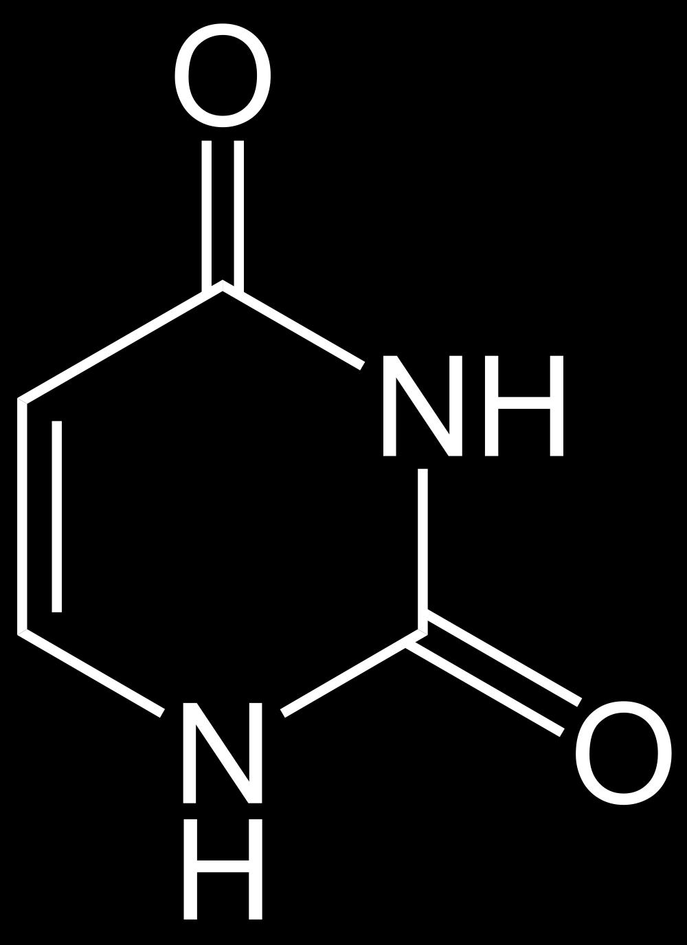 DNA a RNA