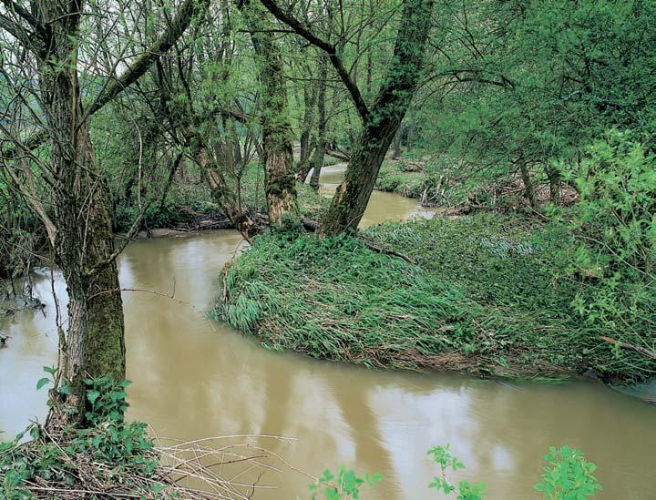 GEOLOGIE Mírnû sevfiené údolí budované biotitick mi pararulami moldanubika. Na svazích jsou vyvinuty ménû úïivné kambizemû, v nivû hlinité, zãásti glejové fluvizemû.