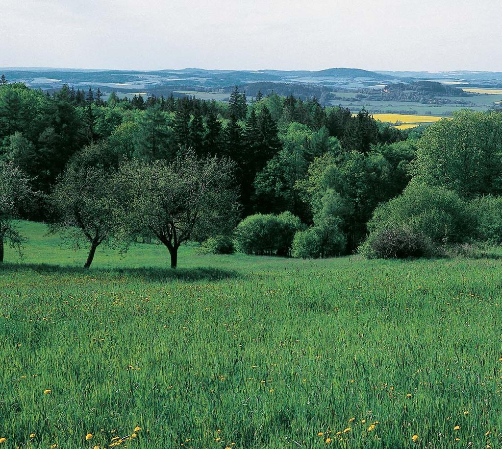 park DÏbány-Îebrák Byl vyhlá en roku 996 Okresním úfiadem Bene ov orozloze 4 98 ha.